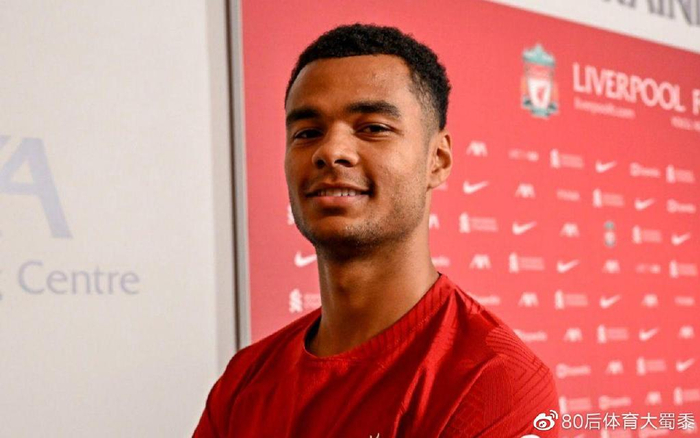 用数据替代 用数据替代